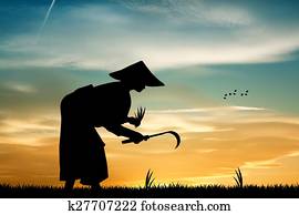 Asian farmer Asian farmer