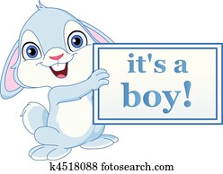 Baby bunny boy Baby bunny boy