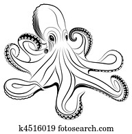 Octopus Octopus
