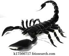scorpion scorpion