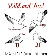 Set with seagulls on isolated white background