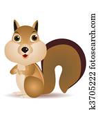 Squirrel cartoon Squirrel cartoon