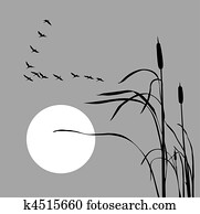 vector drawing flock geese on bulrush vector drawing flock geese on bulrush