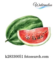 Watercolor watermelon Watercolor watermelon