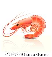 בשל, שרימפ, הפרד, בלבן