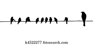 birds on wire birds on wire