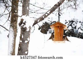 cena inverno, com, neve, e, pássaros