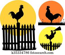 crowing rooster crowing rooster