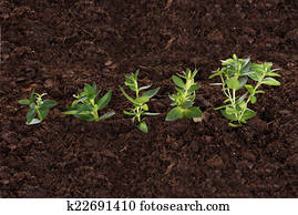 Business growth concept