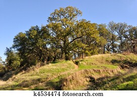 Northern California Recreation and Wildlife Refuge on Sacramento River