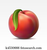 Peach Peach