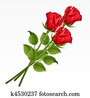 rosen rosen