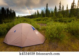 Wilderness Camping Concept