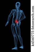 Back pain Back pain