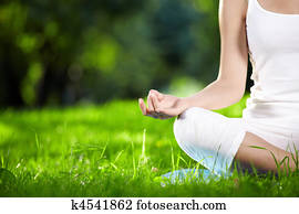 Lotus Pose Lotus Pose