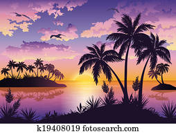 טרופי, islands,, palms,, שמיים, ו, צפרים