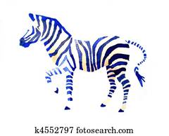 blue zebra blue zebra