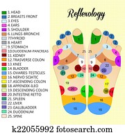 Foot reflexology chart