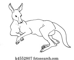 Kangaroo reclining Kangaroo reclining