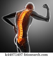 Male Feeling the back pain Male Feeling the back pain