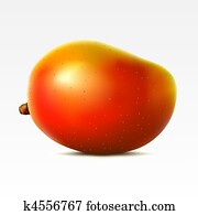 Mango Mango