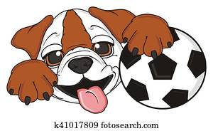 puppy of english bulldog puppy of english bulldog