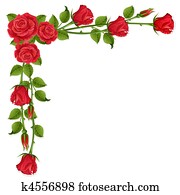 rosen rosen