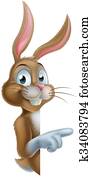 Easter Bunny Character Pointing Easter Bunny Character Pointing