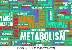 Metabolism