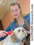 mulher, aparência, cão