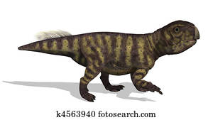 Psittacosaurus Dinosaur Psittacosaurus Dinosaur