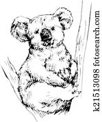 העבר, צייר, קואלה