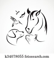 וקטור, קבץ, של, חיות בית, -, סוס, כלב, חתול, צפור, פרפר, שפירית, הפרד, בלבן, רקע