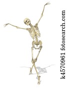 a, שלד, לוקח, a, חינני, הנח