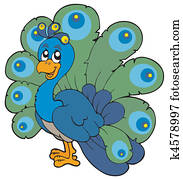 Cartoon peacock Cartoon peacock