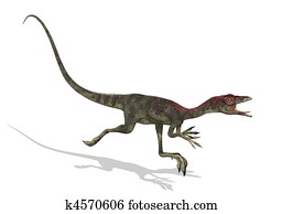 Compsognathus Dinosaur Running Compsognathus Dinosaur Running