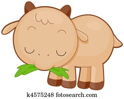 Cute Goat Cute Goat