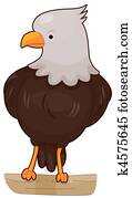 Eagle Eagle