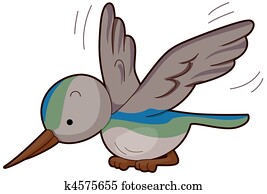 Hummingbird Hummingbird