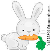 Rabbit Rabbit