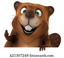 Beaver Beaver
