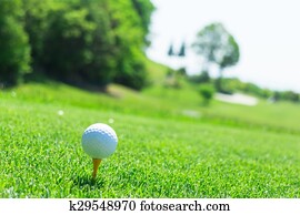 golf course golf course