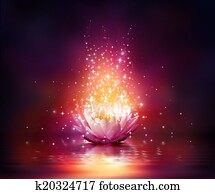 magia, flor, ligado, água