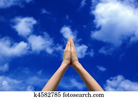 Peace Peace