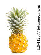 Pineapple on white background Pineapple on white background