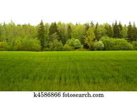 Rural grassland Rural grassland