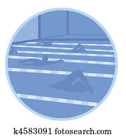 swimmer swimmer