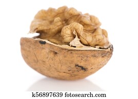 Offenes, walnuß Stock Fotograf | k2094566 | Fotosearch