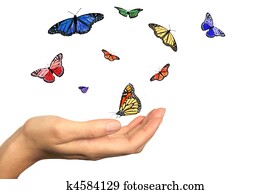 蝶 とまる 上に Womans 手 イメージギャラリー 75 蝶 とまる 上に Womans 手 フォト Fotosearch