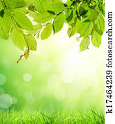 floral, fundo, com, livre, espaço, para, texto